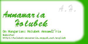 annamaria holubek business card
